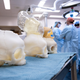 Prior to the surgery, doctors had the benefit of practicing and refining the procedure using 3D-printed models of Bentley’s skull and brain sac. (Image: Katherine C. Cohen/Boston Children’s Hospital)
